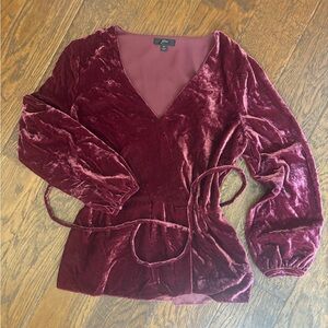 J.Crew Crushed Velvet Top